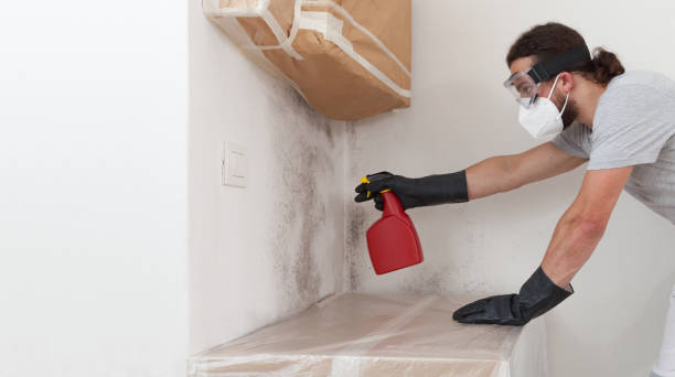 Professional Bathroom Mold Removal technician working in Ashland, MA