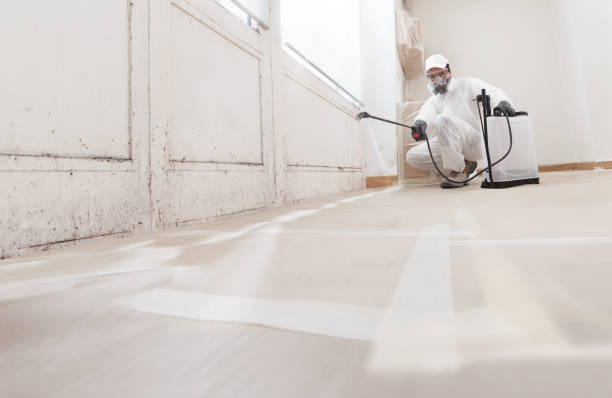 24/7 Emergency Bathroom Mold Removal experts in Ashland, MA